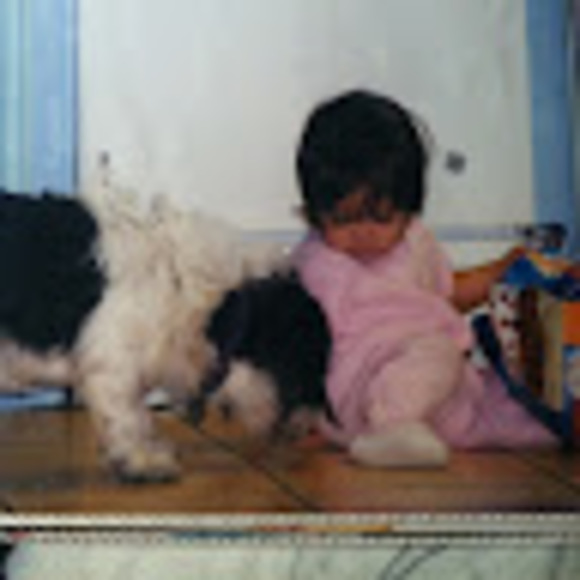 Meet your Posher, Mia - Picture 1 of 1